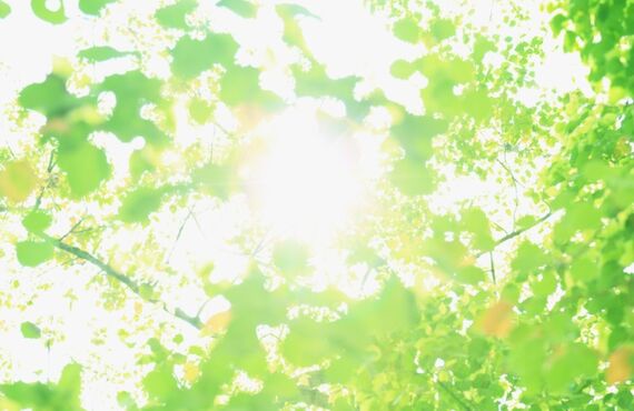 選べるトクトク4点セット